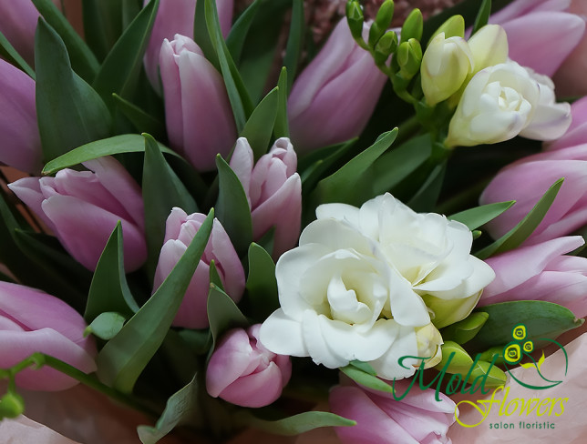 Букет из тюльпанов,,Нежность весны'' Фото